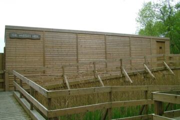 Disabled Ramp for Special 10m x 2.4m Disabled Hide on Stilts 1.8mtrs above Ground Level @ The Hawk and Owl Trust, Norfolk